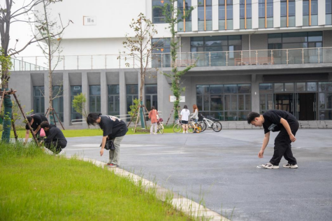 1715669821416090.png image.png