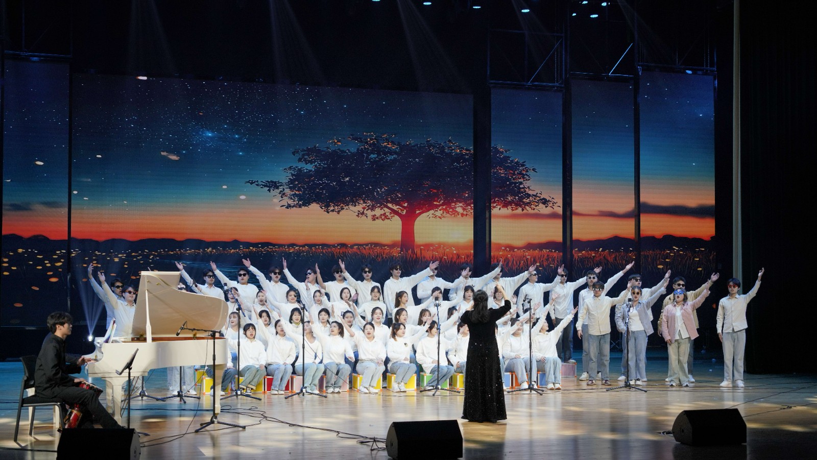 1734583128263524.jpg 1734583128263524.jpg