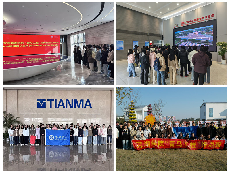 1764656915803339.jpg 1764656915803339.jpg