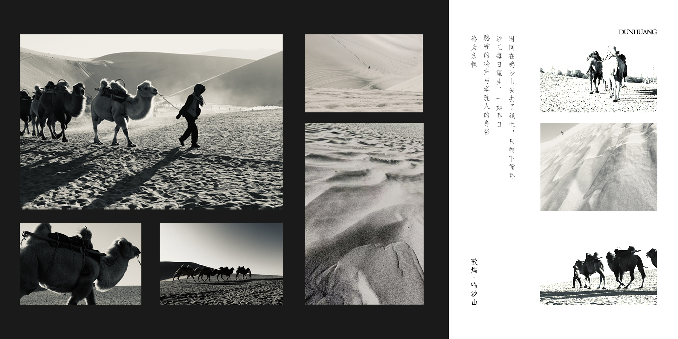 2023级摄影专业张雨彤&mdash;&mdash;摄影作品《恒驻》